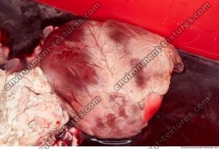 RAW meat pork viscera 0020